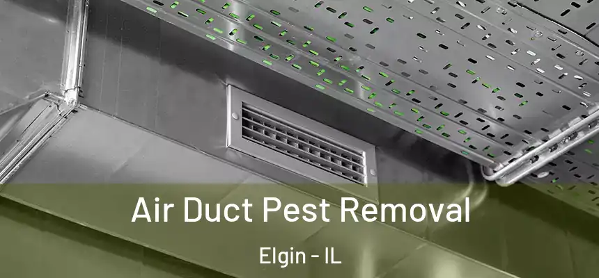  Air Duct Pest Removal Elgin - IL
