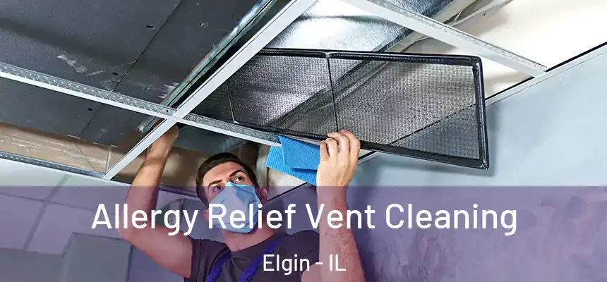  Allergy Relief Vent Cleaning Elgin - IL