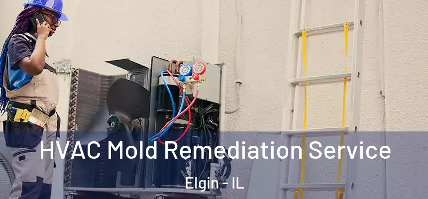  HVAC Mold Remediation Service Elgin - IL