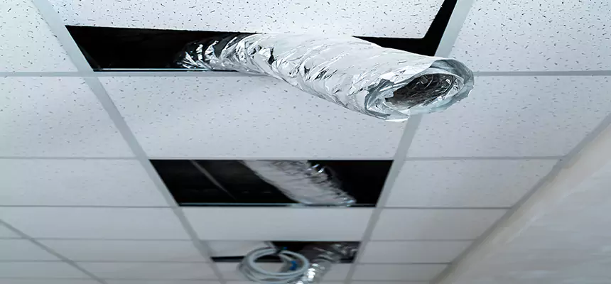 Affordable HVAC Sanitizing After Pest Removal in Elgin