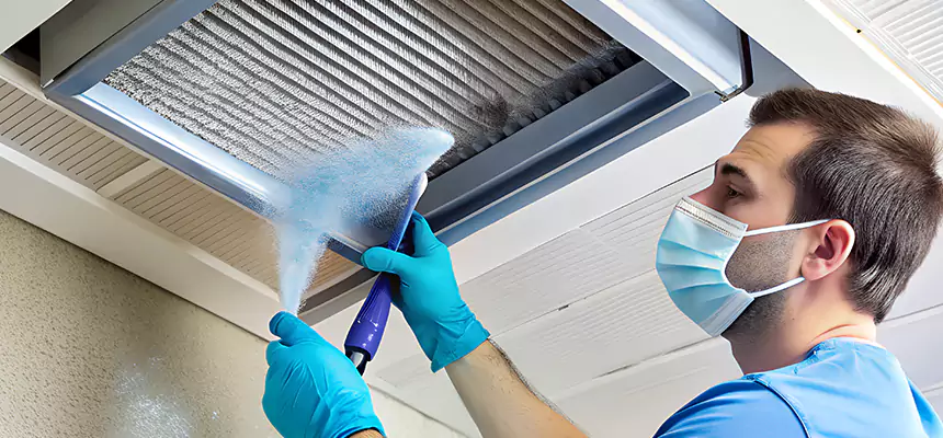 Proactive Dryer Vent & Auxiliary Duct Pollen Cleanup in Elgin, IL
