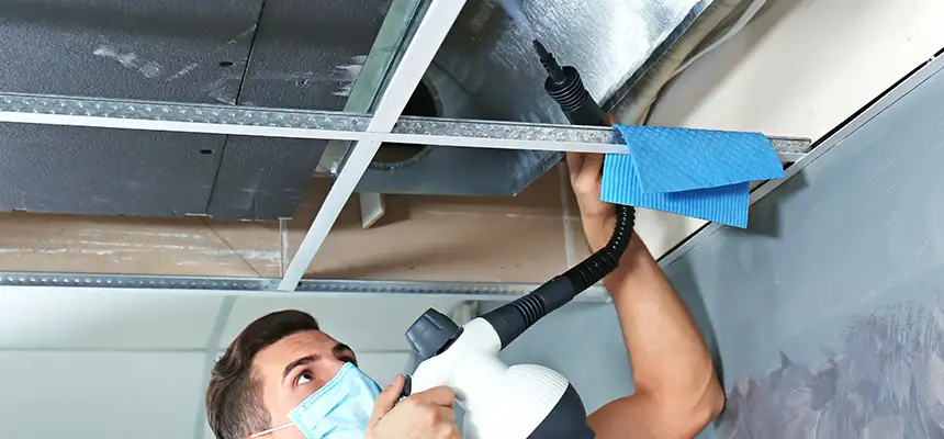 Our Air Duct Rodent Removal Services in Elgin, IL