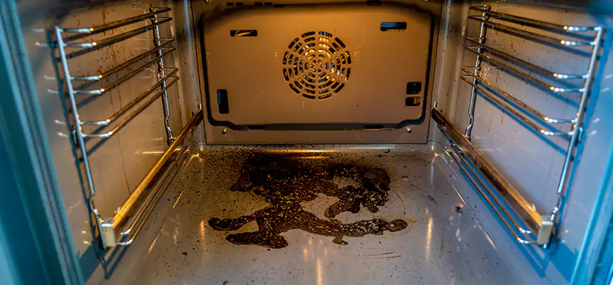 Our Dryer Vent Mold Cleaning Services in Elgin, IL