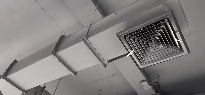 Our Pest Removal From Ducts Services in Elgin, IL