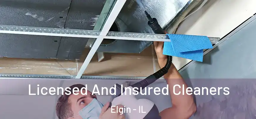  Licensed And Insured Cleaners Elgin - IL