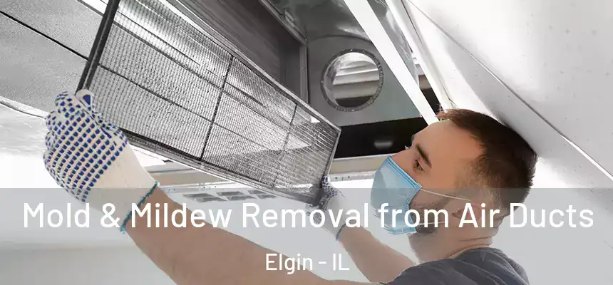  Mold & Mildew Removal from Air Ducts Elgin - IL