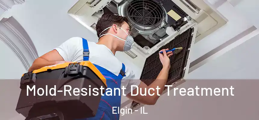  Mold-Resistant Duct Treatment Elgin - IL