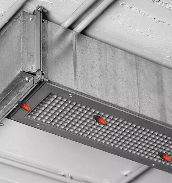 About Air Duct Cockroach Removal in Elgin, IL