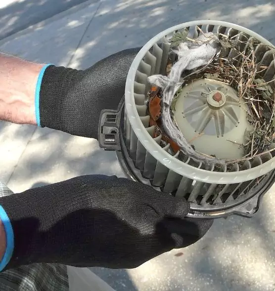 About Air Duct Mice Removal in Elgin, IL