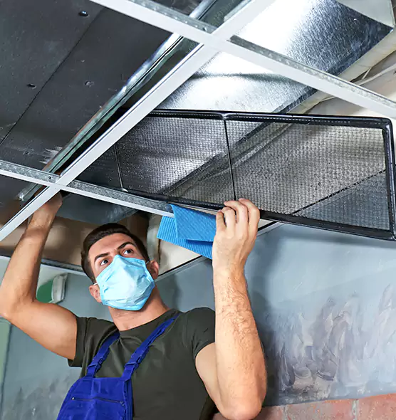 Professional Air Duct Pollen Cleaning in Elgin, IL