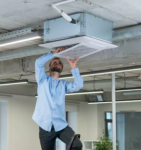 Advanced Rodent Droppings In Vents in Elgin, IL