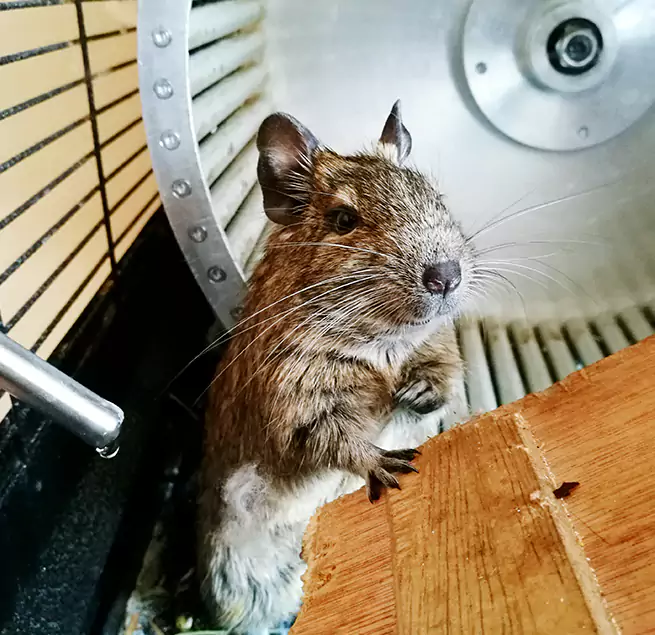 Why Homeowners & Businesses Trust Us Elgin, IL?