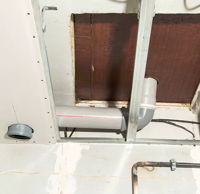 Why Homeowners & Businesses Trust Us in Elgin, IL?