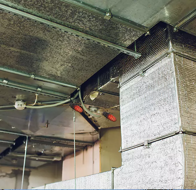 Why Homeowners & Businesses Trust Us Elgin, IL?