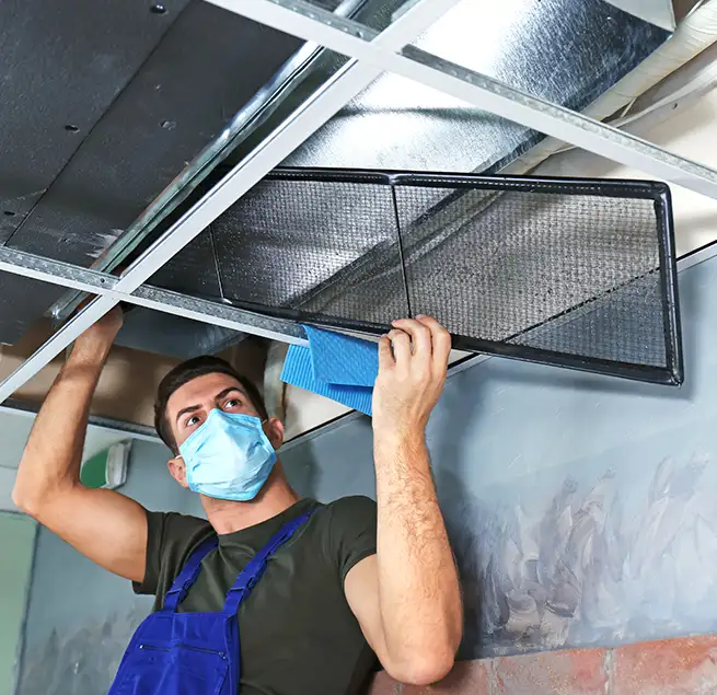 Why Homeowners & Businesses Trust Us in Elgin, IL?